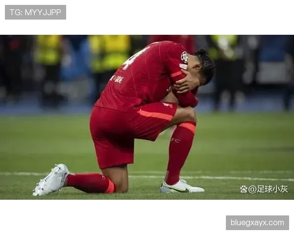 范戴克南安普顿生涯回顾：后防核心奠定豪门基石