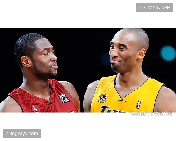 韦德单打撕裂防线 在关键回合更胜科比